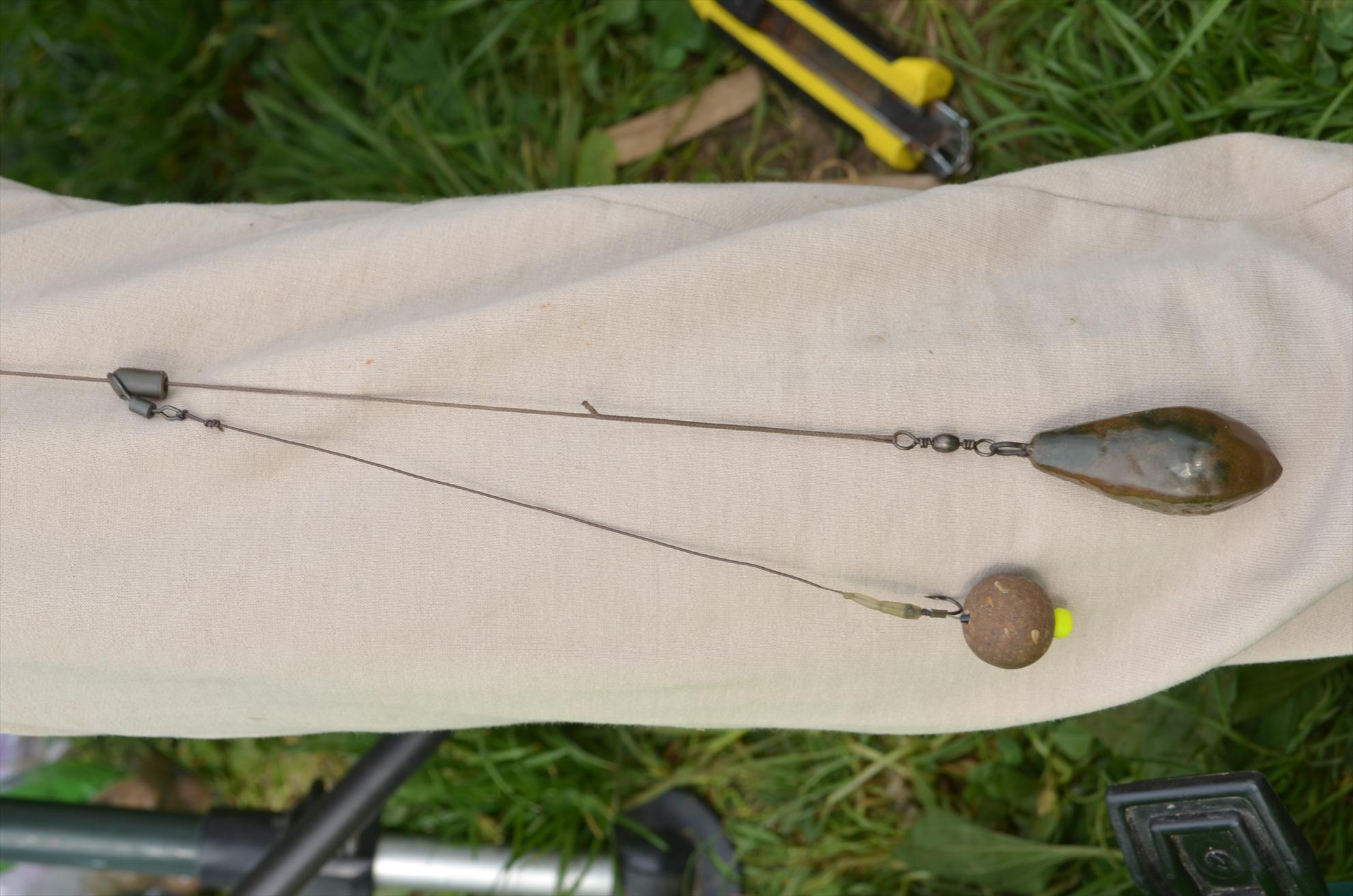 sisterea - dsc0645.JPG